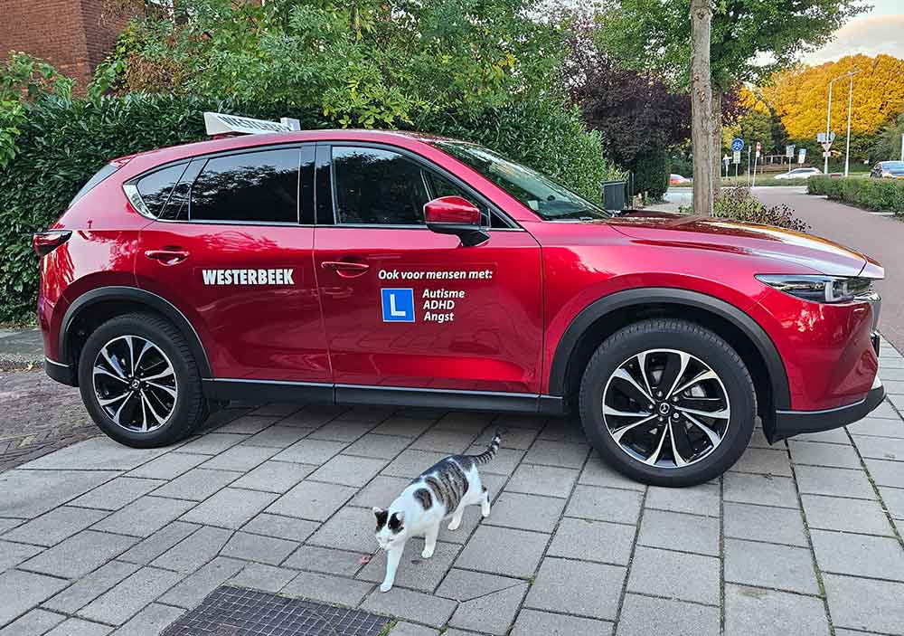 Rijbewijs B voor auto